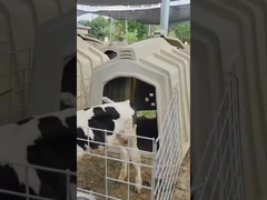 발프 하치 우유 농장 장비