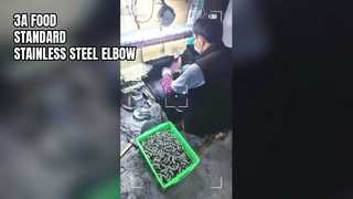 스테인레스 스틸 엘보우 3A 식품 표준